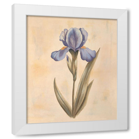 Iris White Modern Wood Framed Art Print by Huntington, Virginia