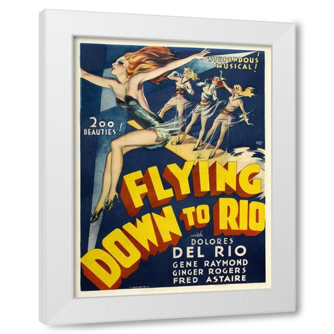 Flying Down To Rio White Modern Wood Framed Art Print by Anonymous