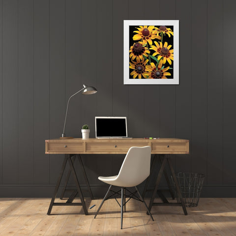 Brown-Eyed Daisy White Modern Wood Framed Art Print by Reynolds, Richard