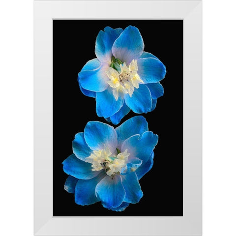 Candle Delphinium White Modern Wood Framed Art Print by Reynolds, Richard