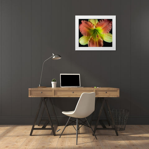 Daylily 2 White Modern Wood Framed Art Print by Reynolds, Richard