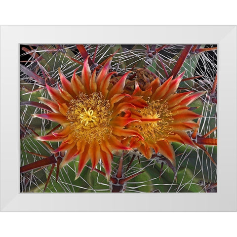 Herrerrae White Modern Wood Framed Art Print by Reynolds, Richard