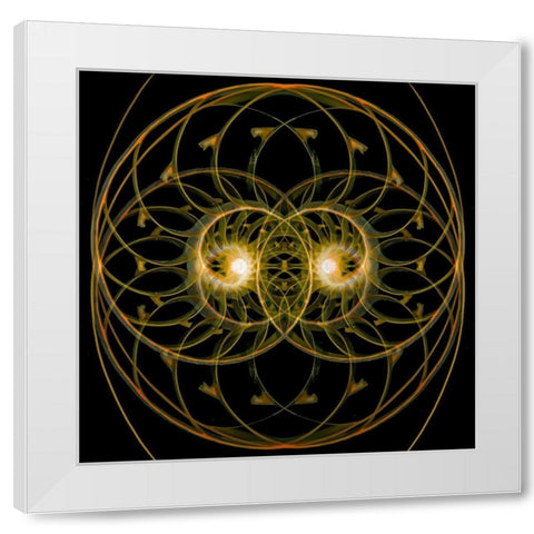 Nautilus Quad White Modern Wood Framed Art Print by Reynolds, Richard