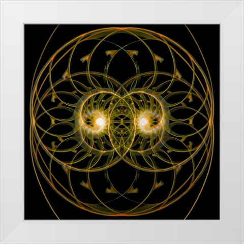 Nautilus Quad White Modern Wood Framed Art Print by Reynolds, Richard
