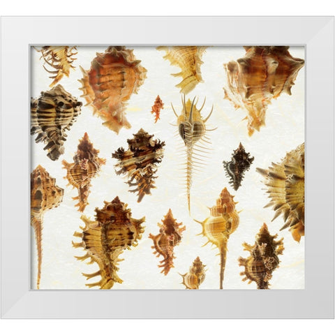 Murex Assemblage 2 White Modern Wood Framed Art Print by Reynolds, Richard