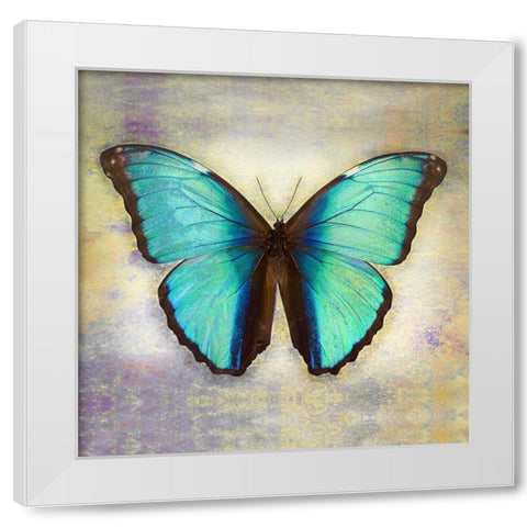 Deidamia Morpho 2 White Modern Wood Framed Art Print by Reynolds, Richard
