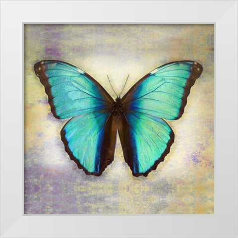 Deidamia Morpho 2 White Modern Wood Framed Art Print by Reynolds, Richard