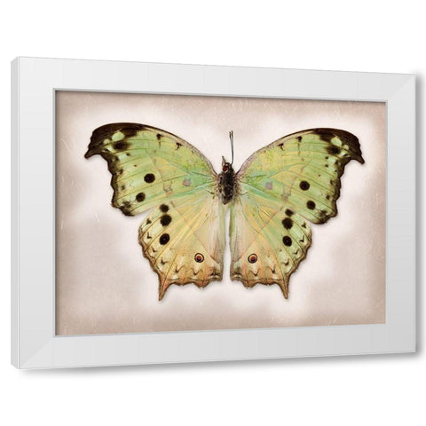 Forest Mother-Of-Pearl White Modern Wood Framed Art Print by Reynolds, Richard