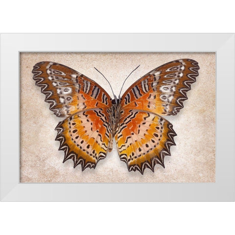 Red Laceing White Modern Wood Framed Art Print by Reynolds, Richard