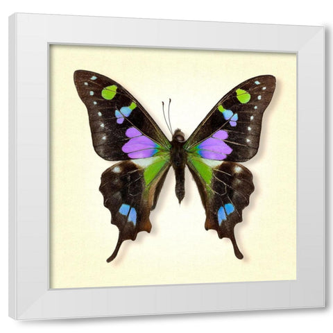 Purple Spotted Swallowtail White Modern Wood Framed Art Print by Reynolds, Richard
