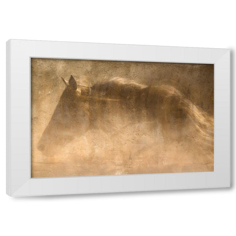The Quarter Horse White Modern Wood Framed Art Print by Dawson, Robert