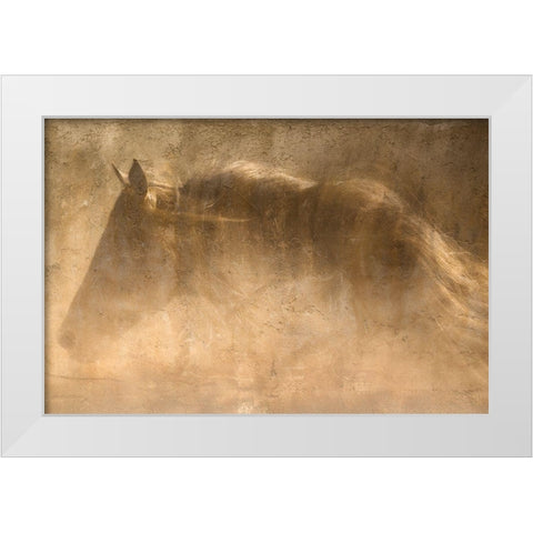 The Quarter Horse White Modern Wood Framed Art Print by Dawson, Robert