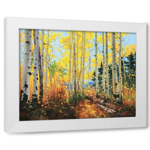 Castle Creek Trail White Modern Wood Framed Art Print by Kim, Gary