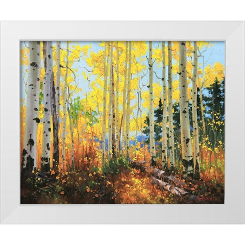 Castle Creek Trail White Modern Wood Framed Art Print by Kim, Gary
