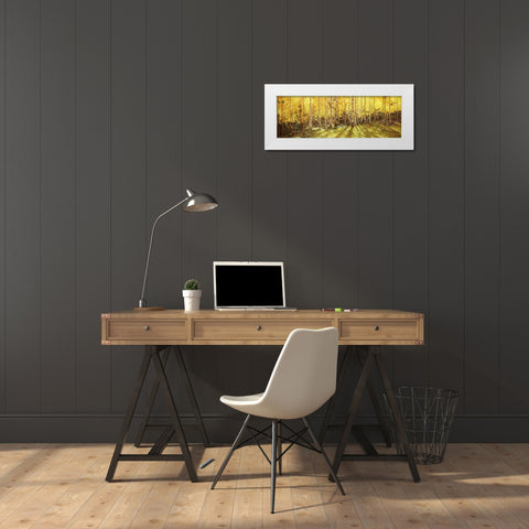Aspen Panorama White Modern Wood Framed Art Print by Kim, Gary