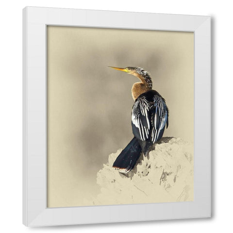 Anhinga White Modern Wood Framed Art Print by Brown, Jim