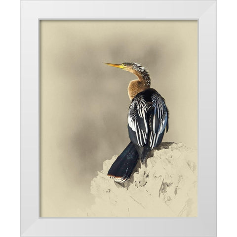 Anhinga White Modern Wood Framed Art Print by Brown, Jim