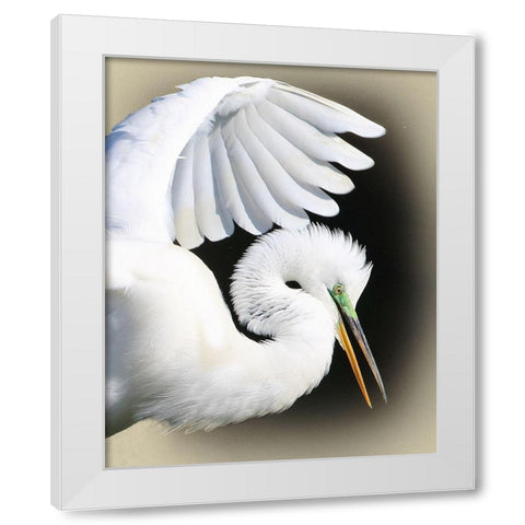 Great Egret Portrait White Modern Wood Framed Art Print by Brown, Jim