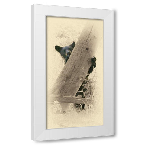 Hello Black Bear White Modern Wood Framed Art Print by Brown, Jim