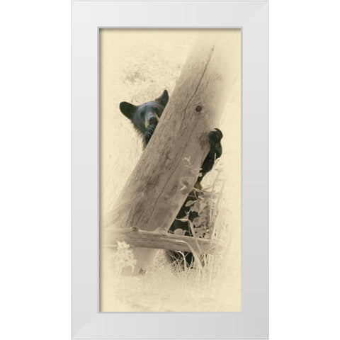 Hello Black Bear White Modern Wood Framed Art Print by Brown, Jim