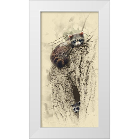 Mom And Baby Raccoon White Modern Wood Framed Art Print by Brown, Jim