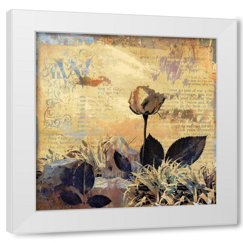 Prairie Rose White Modern Wood Framed Art Print by Bolokofsky, Ronald