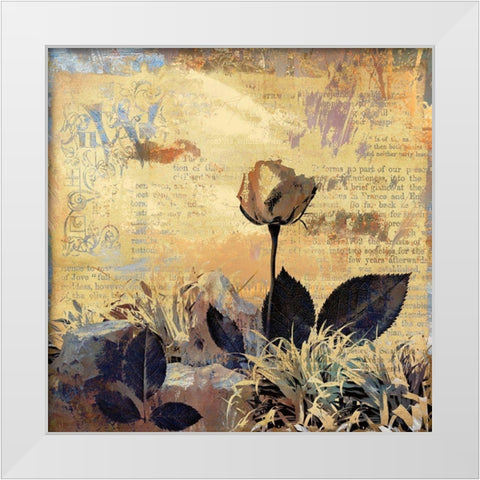 Prairie Rose White Modern Wood Framed Art Print by Bolokofsky, Ronald
