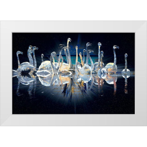 Birds of Paradise White Modern Wood Framed Art Print by Bolokofsky, Ronald