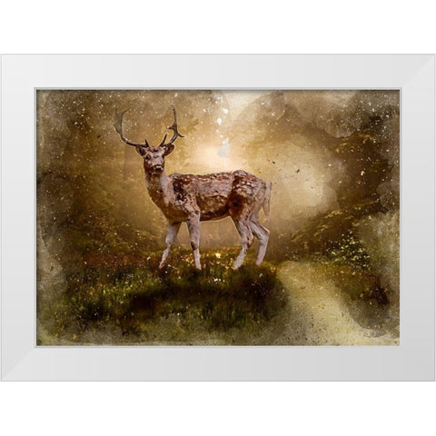 Deer In the Forest White Modern Wood Framed Art Print by Bolokofsky, Ronald