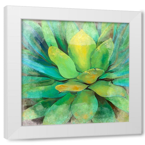 Green Echeveria White Modern Wood Framed Art Print by Bolokofsky, Ronald