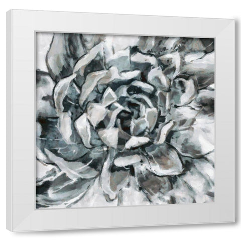 Cereus Aeonium White Modern Wood Framed Art Print by Bolokofsky, Ronald