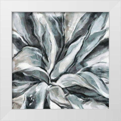 Cereus Aloe White Modern Wood Framed Art Print by Bolokofsky, Ronald