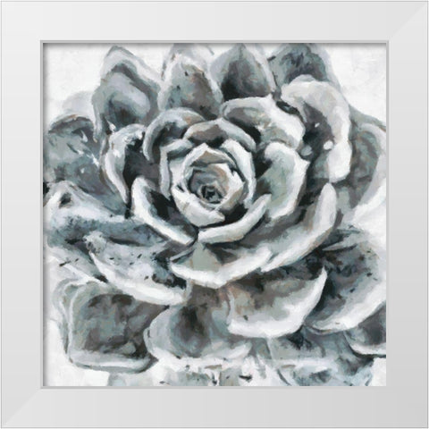 Cereus Sempervivum White Modern Wood Framed Art Print by Bolokofsky, Ronald