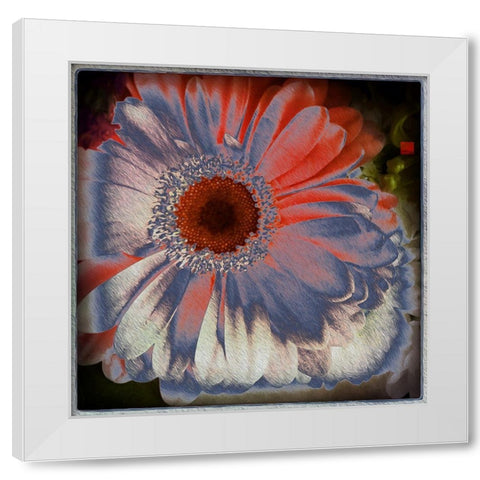 Floral Blue White Modern Wood Framed Art Print by Bolokofsky, Ronald