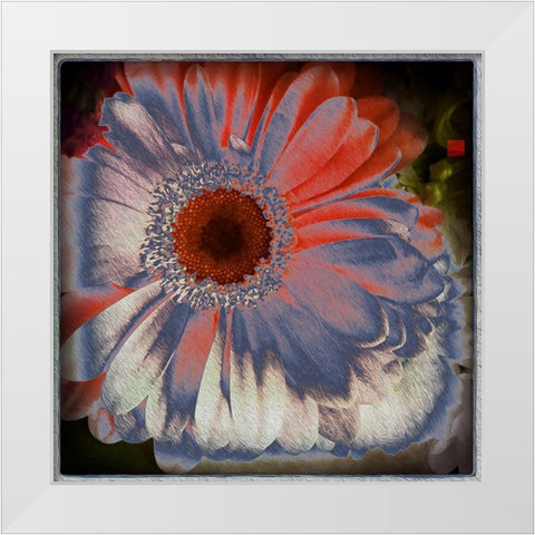 Floral Blue White Modern Wood Framed Art Print by Bolokofsky, Ronald