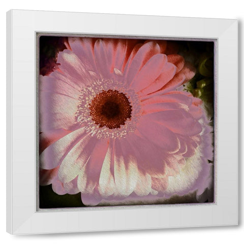 Floral Pink White Modern Wood Framed Art Print by Bolokofsky, Ronald