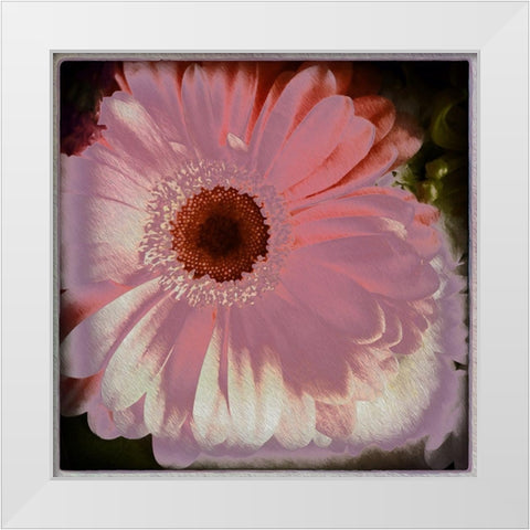 Floral Pink White Modern Wood Framed Art Print by Bolokofsky, Ronald