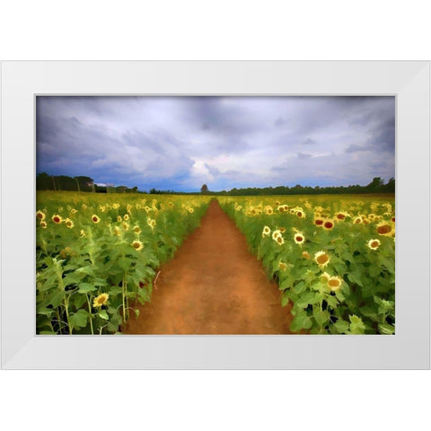 Sunflower Field White Modern Wood Framed Art Print by Bolokofsky, Ronald