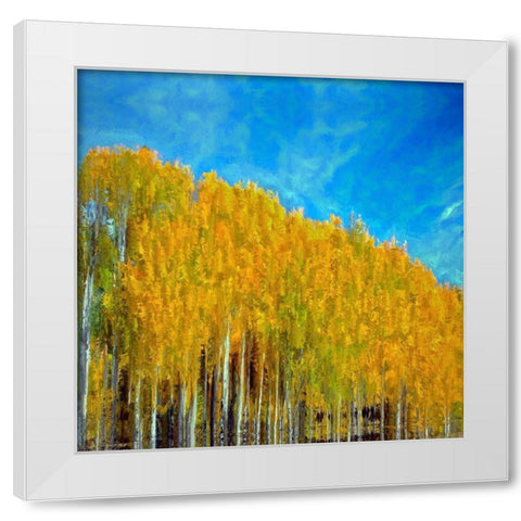 Aspens In Autumn  White Modern Wood Framed Art Print by Bolokofsky, Ronald