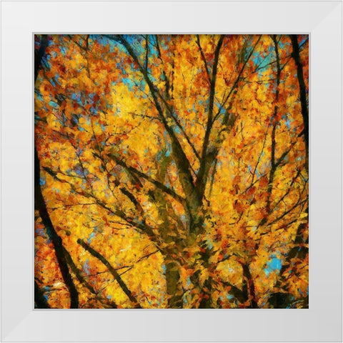 Autumn Leaves II White Modern Wood Framed Art Print by Bolokofsky, Ronald