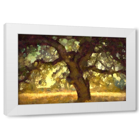 Big Shade I White Modern Wood Framed Art Print by Bolokofsky, Ronald