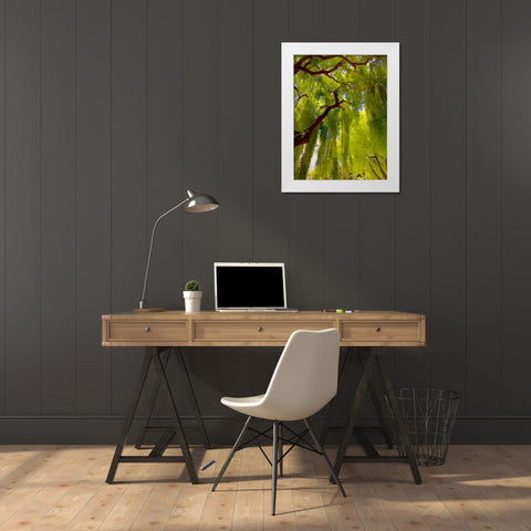 Big Shade II White Modern Wood Framed Art Print by Bolokofsky, Ronald
