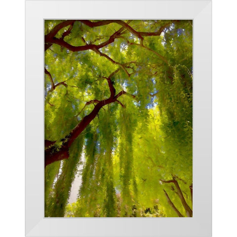 Big Shade II White Modern Wood Framed Art Print by Bolokofsky, Ronald