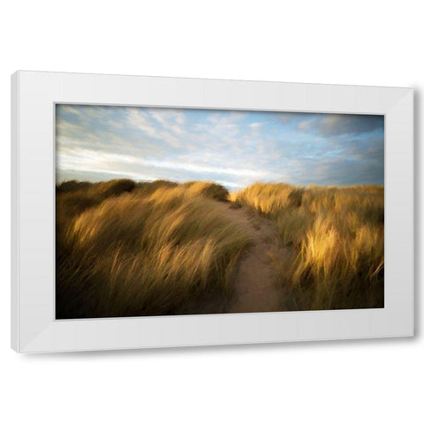 Grassy Dune White Modern Wood Framed Art Print by Bolokofsky, Ronald