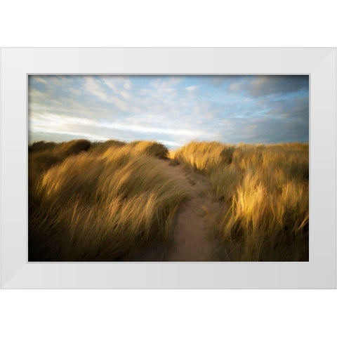 Grassy Dune White Modern Wood Framed Art Print by Bolokofsky, Ronald