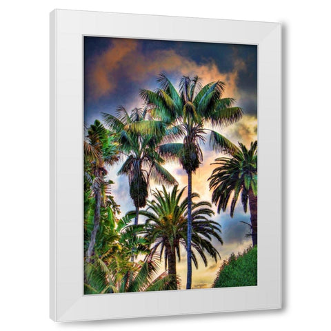 Palm Haven White Modern Wood Framed Art Print by Bolokofsky, Ronald