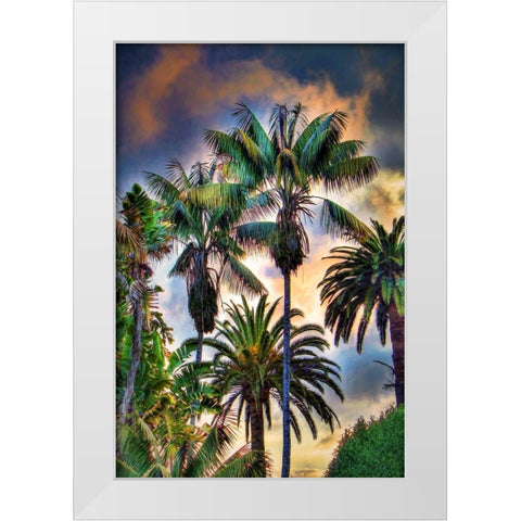 Palm Haven White Modern Wood Framed Art Print by Bolokofsky, Ronald