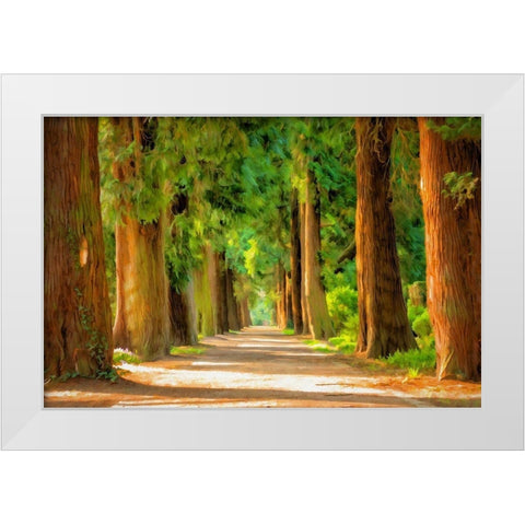 Shady Tree Lane III White Modern Wood Framed Art Print by Bolokofsky, Ronald