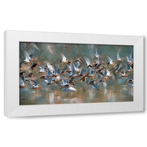 Long Billed Dowitcher White Modern Wood Framed Art Print by Bolokofsky, Ronald