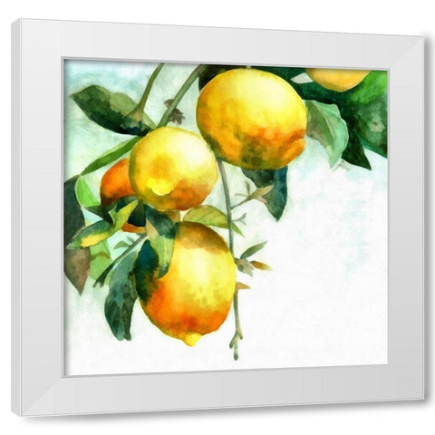 Lemons White Modern Wood Framed Art Print by Bolokofsky, Ronald